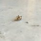 14k Solid Gold ONE Replacement Tension Earring Back  for Diamond Stardust Earrings